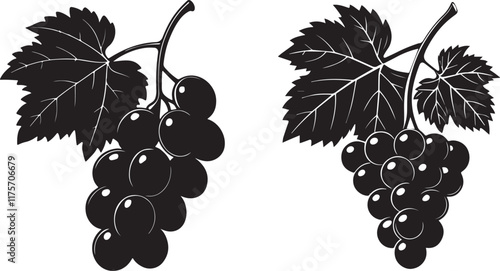 Grape fruit silhouette in different pecies and fruit icon vector design.