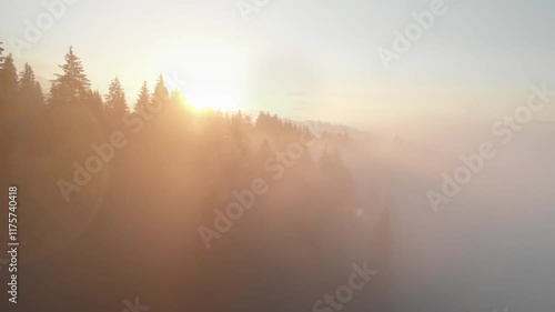 Aerial view of a misty forest illuminated by the golden rays of sunrise, creating a serene and ethereal natural scene.