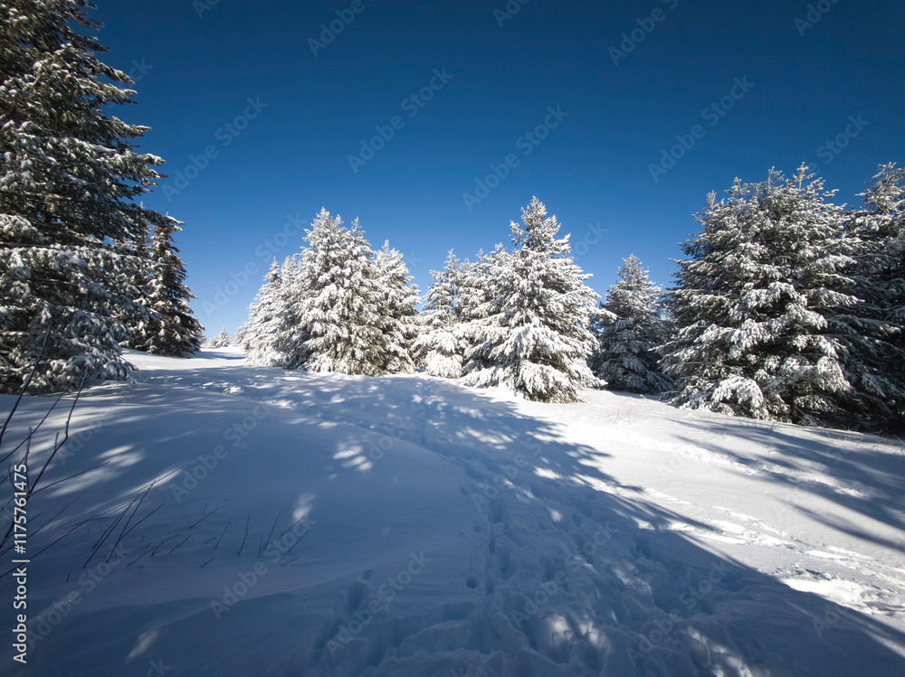 Winter Panorama of Vitosha Mountain, Bulgaria Winter Panorama of Vitosha Mountain, Bulgaria