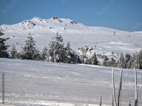 Winter Panorama of Vitosha Mountain, Bulgaria photo