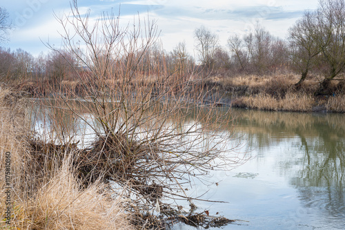 Scenic view of the banks of the Mures River near the city of Tirgu Mures in Transylvania, Romania photo