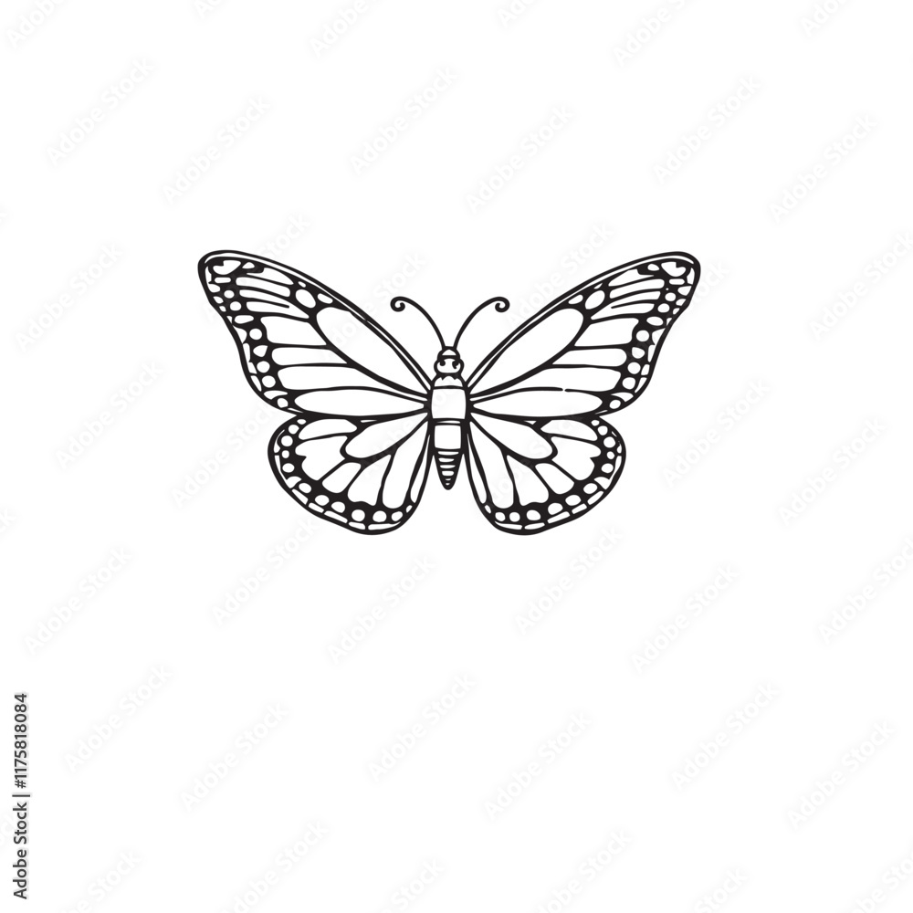 A black and white coloring page depicting a Butterfly pattern with bold lines and a clean line art style against a white background, Vector illustration. A black and white coloring page depicting a Butterfly pattern with bold lines and a clean line art style against a white background, Vector illustration.