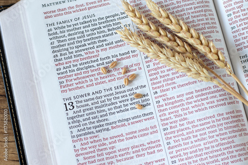 Canvas-taulu Wheat seeds on holy bible book