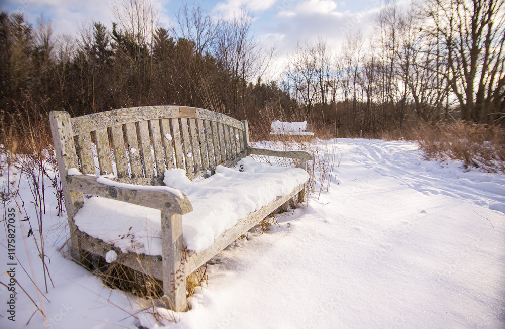 Surrounded by trees in the forest, an antique, wooden bench sits blanketed in snow on a sunny, winter day in Manistee, Michigan. Surrounded by trees in the forest, an antique, wooden bench sits blanketed in snow on a sunny, winter day in Manistee, Michigan.