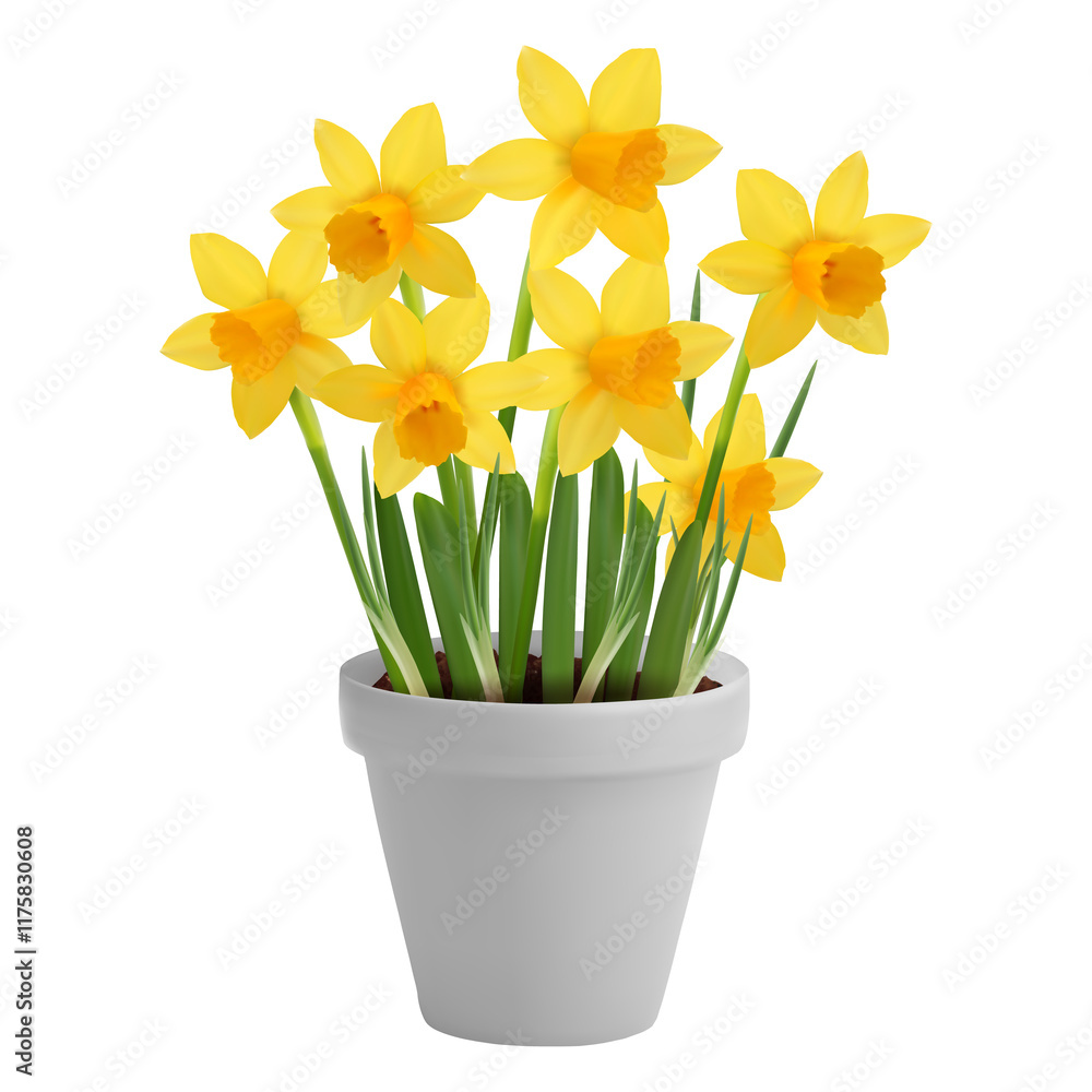 yellow daffodils in a pot yellow daffodils in a pot
