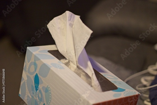 Tissue Sticking Out of Box photo