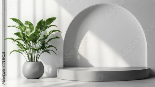 Modern Minimalist Interior with Plant