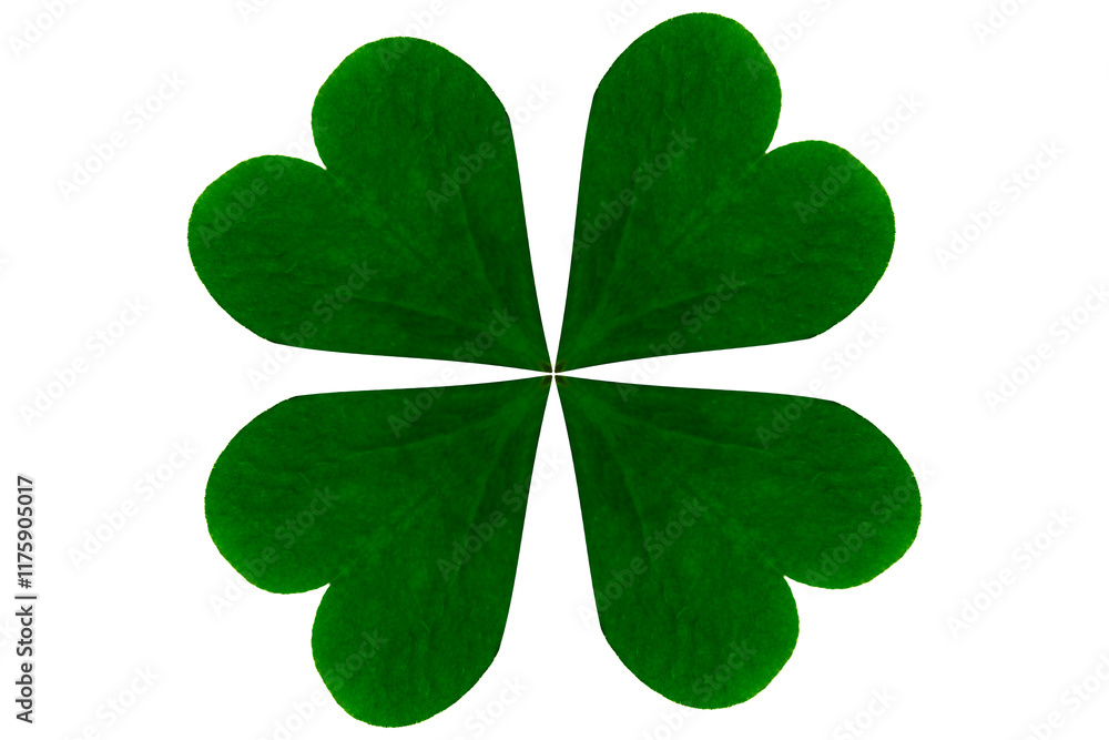 Four leaf clover isolated on transparent background Four leaf clover isolated on transparent background