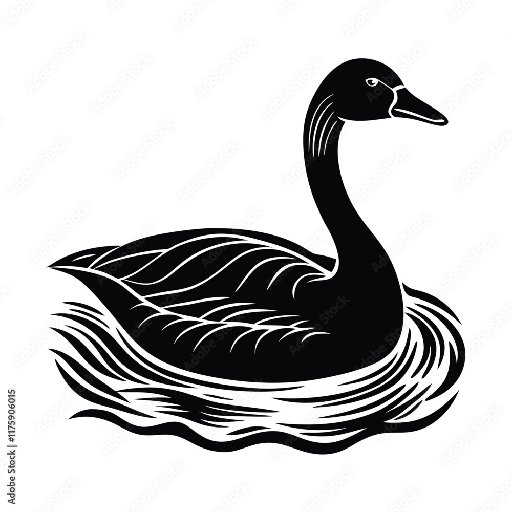 black and white swan black and white swan