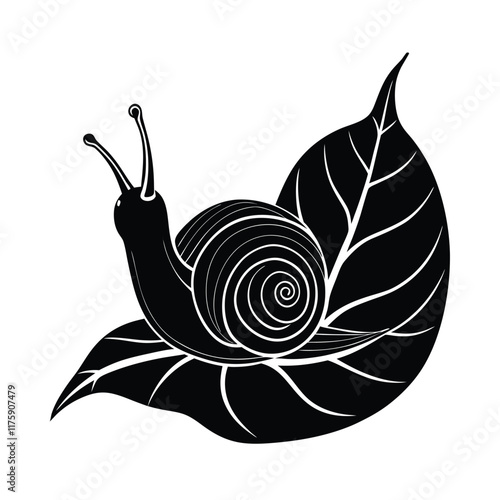 snail on a white background