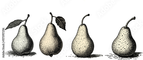 Intricate vintage pear engraving in black and sepia tones with detailed linework, illustration