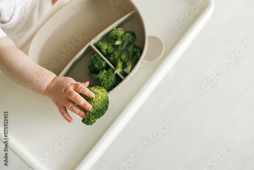 Canvas Print Broccoli in a plate, first complementary food using the blw method