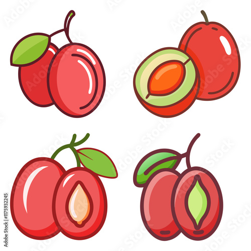 fresh red kakadu plum high-quality vector bundle set ideal for menus, food and fruit concepts illustration.