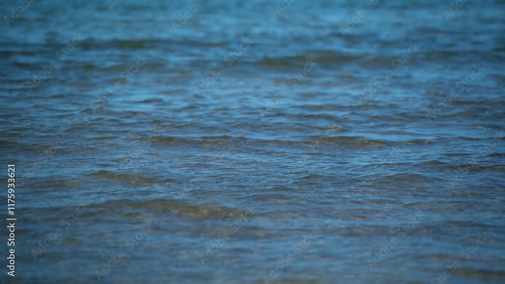 Water surface with moving waves Water surface with moving waves
