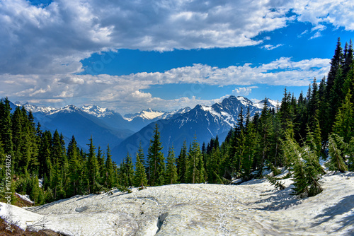 View from a snowy forested mountain, North Cascades National Park, Washington