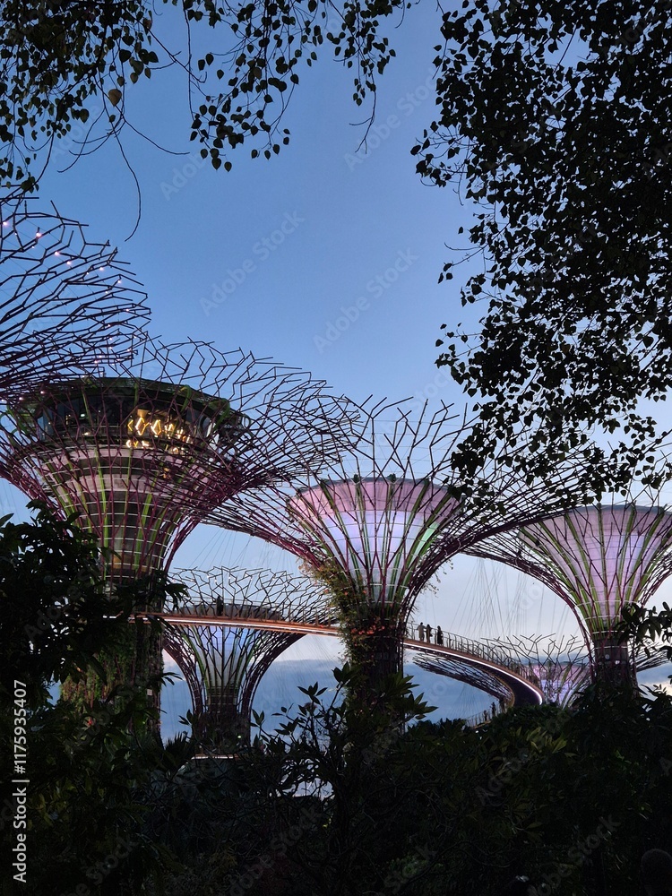 Fototapeta premium Gardens of the Bay in Singapore