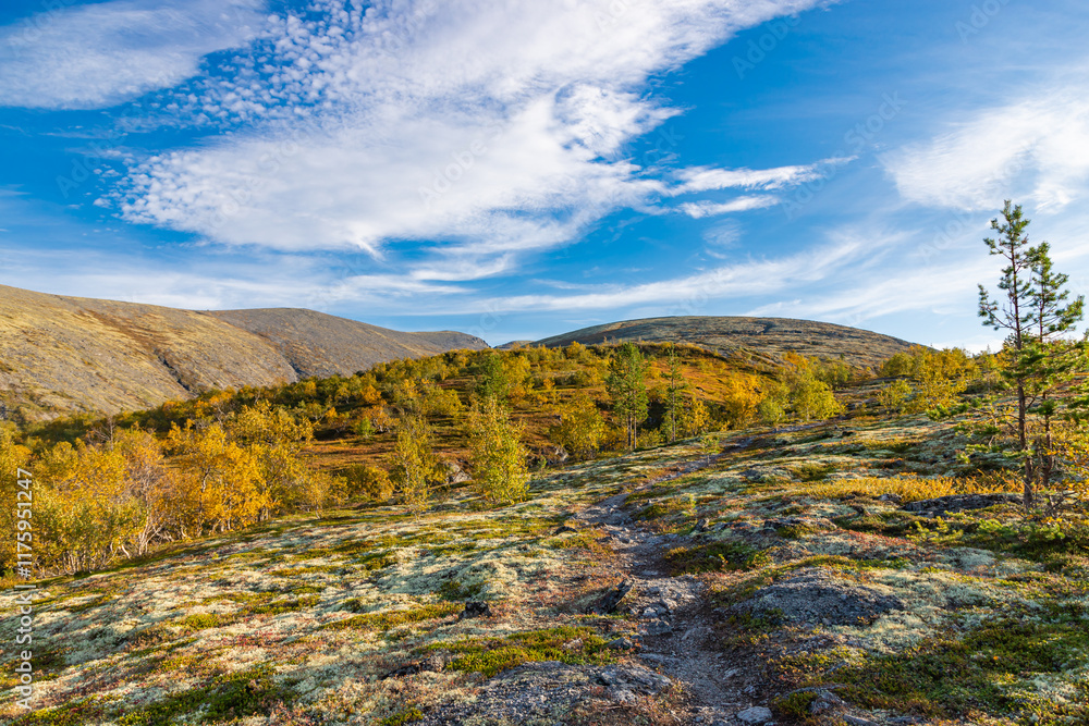 Autumn colored landscape at Khibiny mountains, Kola Peninsula, Murmansk region, Russia.