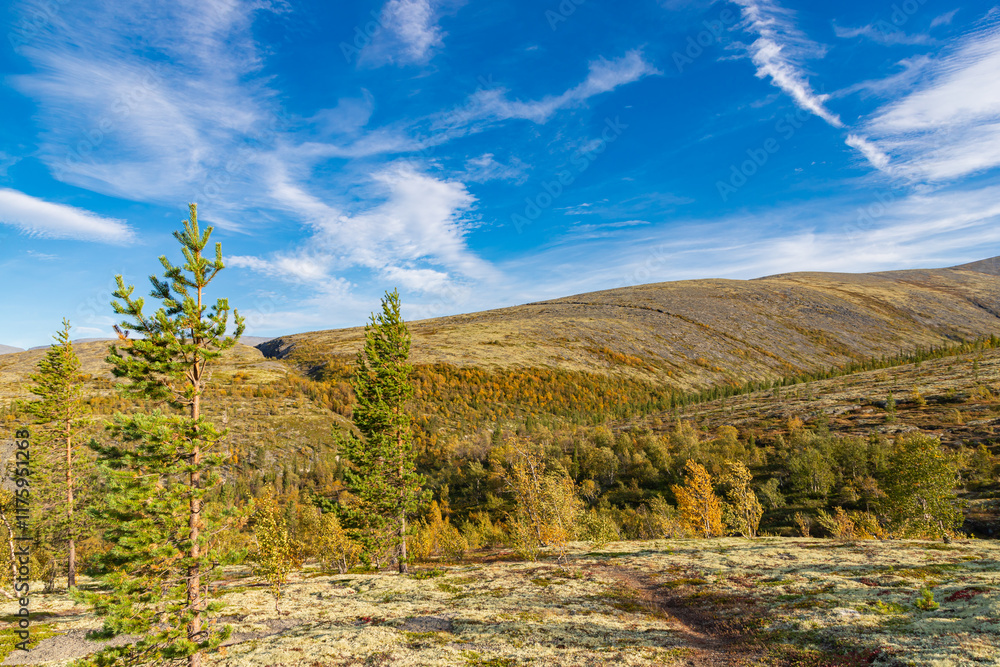 Autumn colored landscape at Khibiny mountains, Kola Peninsula, Murmansk region, Russia.