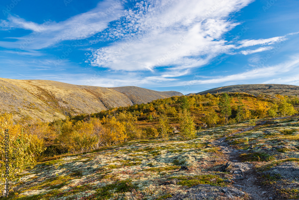 Autumn colored landscape at Khibiny mountains, Kola Peninsula, Murmansk region, Russia.