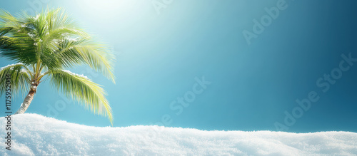 Palm tree growing on snow under blue sky and sunlight: surreal tropical winter landscape photo