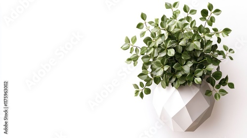 A stylish indoor plant with green leaves in a modern geometric white pot, set against a clean, white background, enhancing the sense of tranquility and nature in home decor.