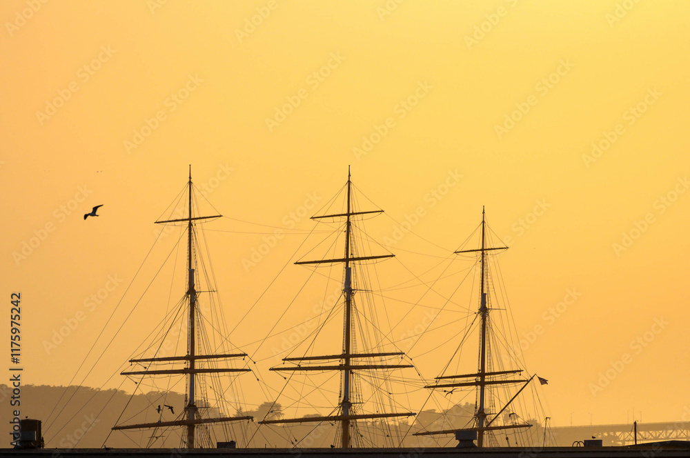Masts of docked ships in San Francisco Bay at sunset with a bird in flight Masts of docked ships in San Francisco Bay at sunset with a bird in flight