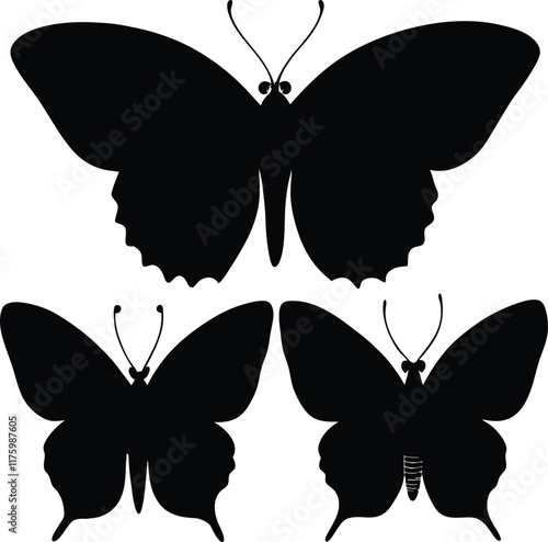 Admiral butterfly line arts with white background. Butterflies in vintage style set. Outlined sketches of flying insects, moths species collection. Retro detailed line drawings.