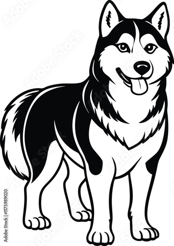Alaskan klee kai silhouette of a standing dog. Alaskan Klee Kai vector illustration isolated on white background in cartoon style.
