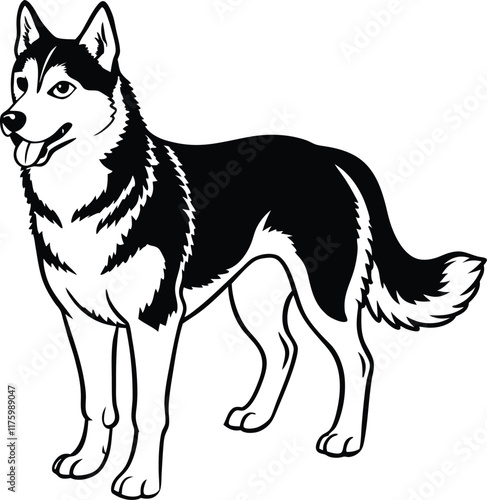 Alaskan klee kai silhouette of a standing dog. Alaskan Klee Kai vector illustration isolated on white background in cartoon style.
