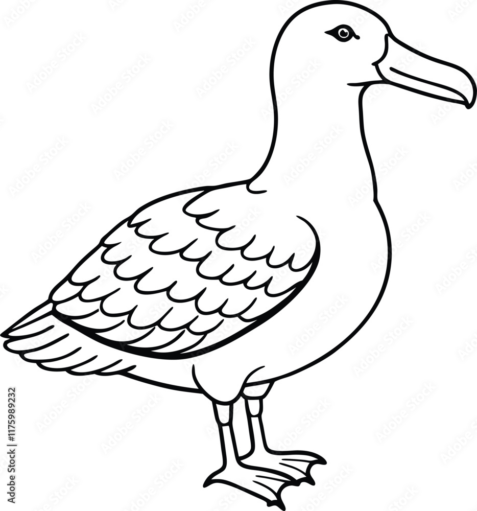 Albatross line arts with white background . California bird silhouette vector illustration