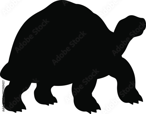Aldabra giant tortoise  line arts with white background. Tortoise icon vector black silhouette on a white background.