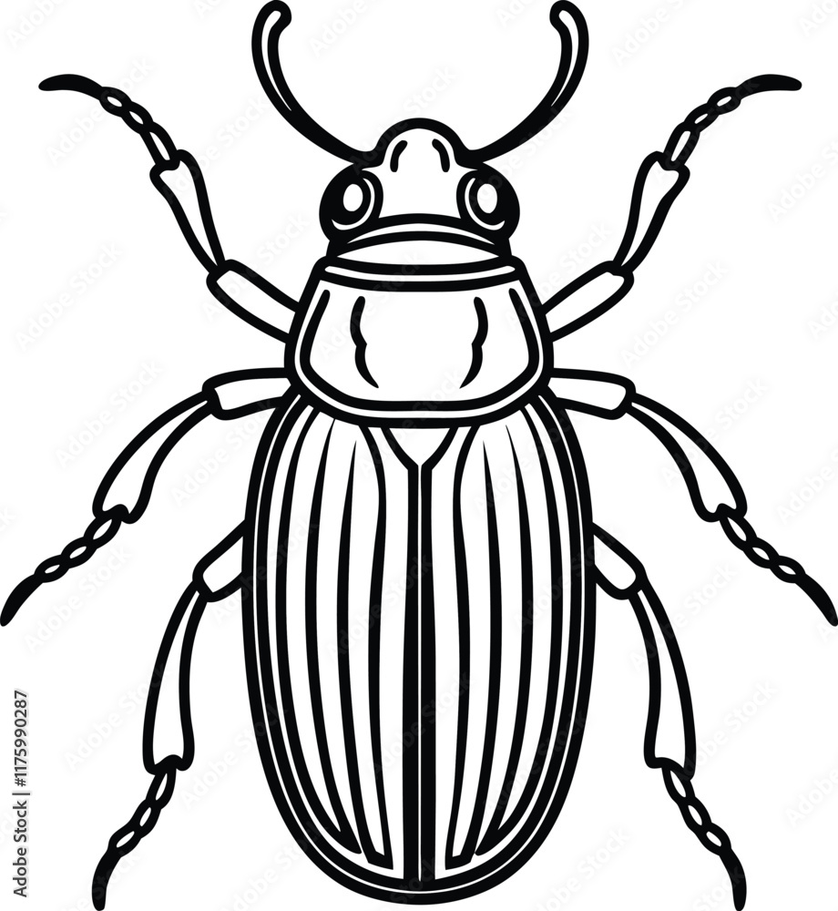 beetle line art ,ladybugs outline drawing,vector art and illustrations art beetle line art ,ladybugs outline drawing,vector art and illustrations art