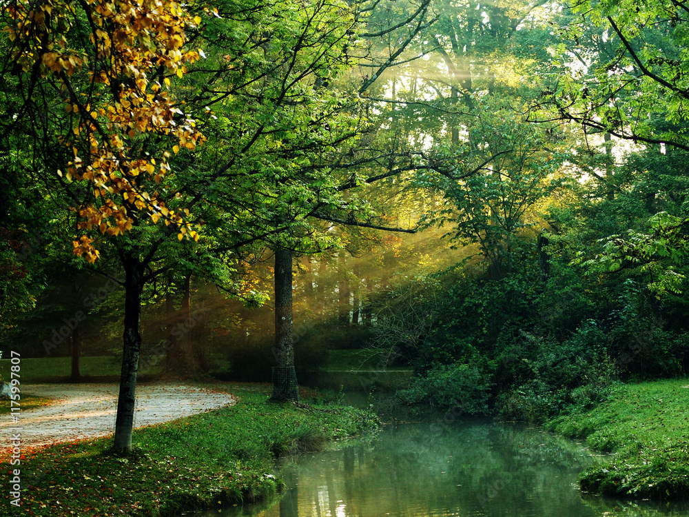 Obraz premium A Misty English Garden In Munich Schwabing With Lush Greenery And Gravel Paths, Gently Bathed In The Soft Glow Of Early Morning Light