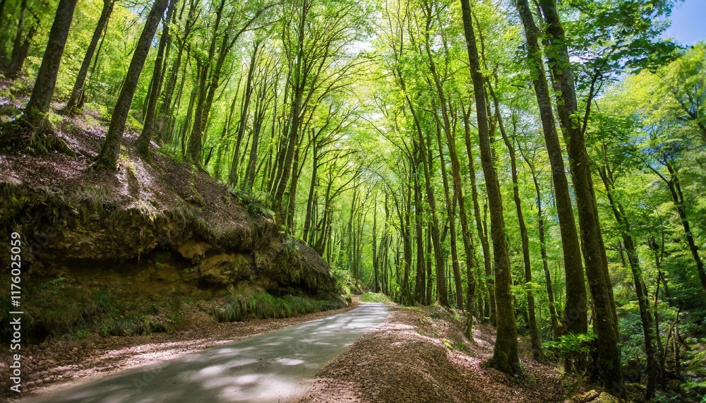 Obraz premium The Enchanted Whisper of the Emerald Forest and Deep Wilderness