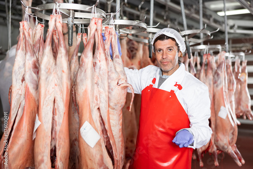 Male butcher showing mutton carcass in meat storage photo