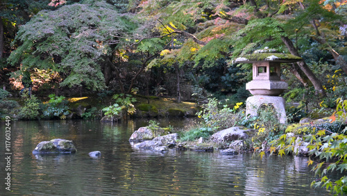 Japanese garden