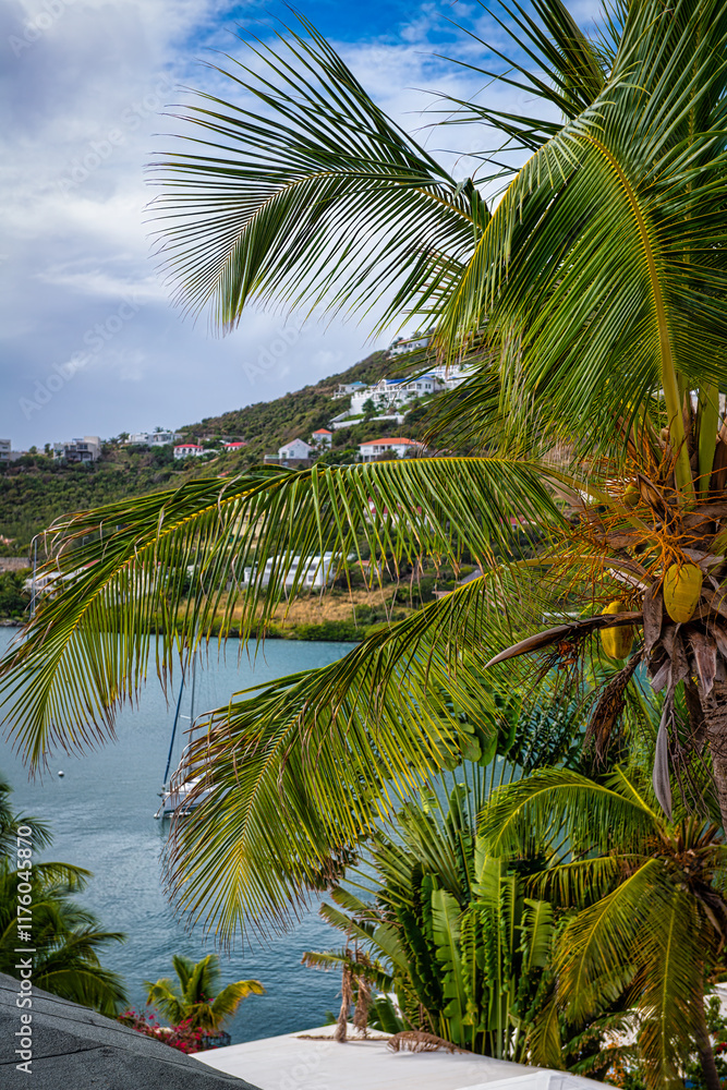 Fototapeta premium Tropical Serenity with Palm Tree and Coastal Views