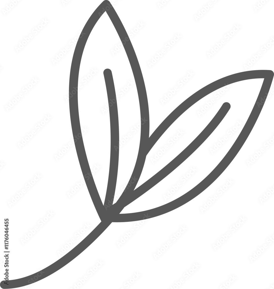 Handdrawn Leaves Branch Handdrawn Leaves Branch