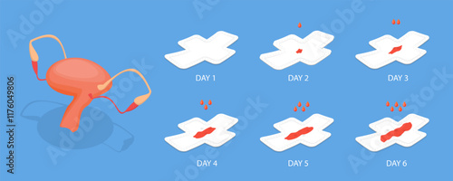 3D Isometric Flat Vector Illustration of Bleeding Menstrual Period, Women Periods, Menstrual Flow