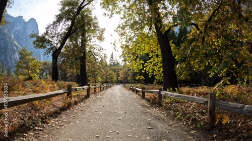 Moving view of autumn forest leaves along the Yosemite Valley bike trail in Yosemite National Park.