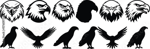 Eagle silhouette set vector design big pack of bird illustration and icon