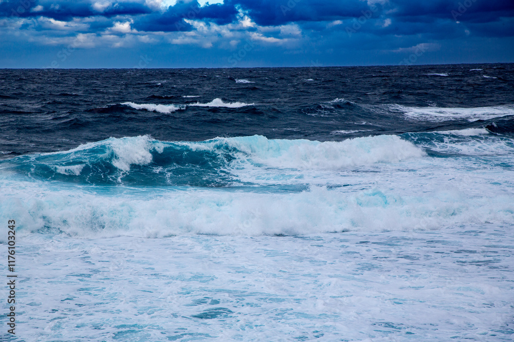 Fototapeta premium 奄美の冬の景色