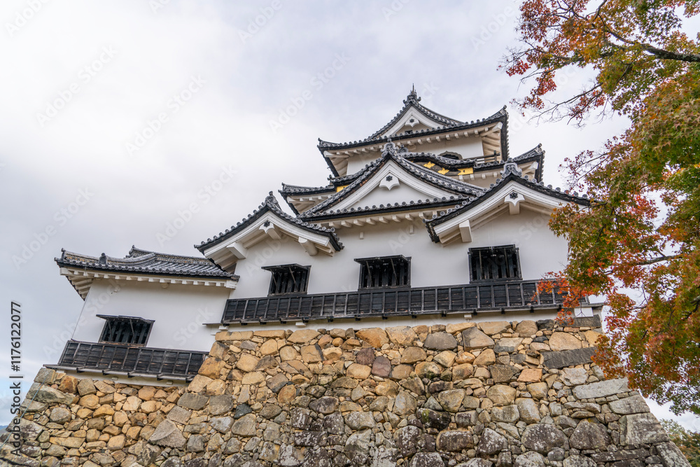 彦根城の風景 彦根城の風景