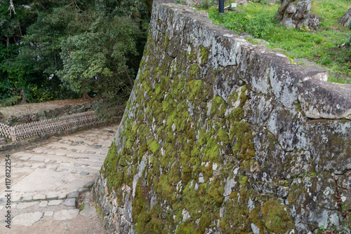 Podobny obraz