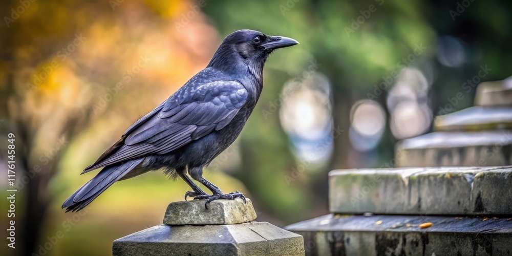 Naklejka premium A sleek black crow perches atop a weathered gravestone, its piercing eyes gazing downward with an air of somber contemplation , crow