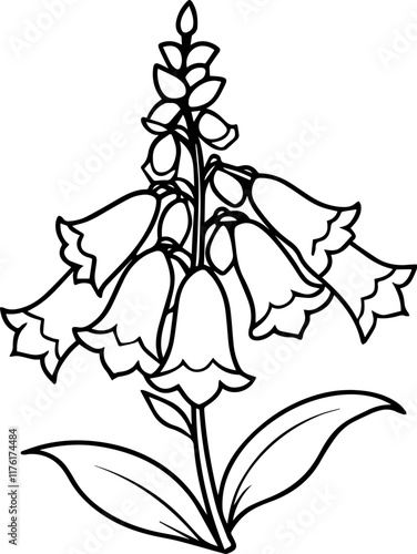 Line Art Illustration of a Purple Foxglove Flower, vector illustration 