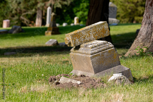 Canvas Print Graveyard headstone damaged by tree