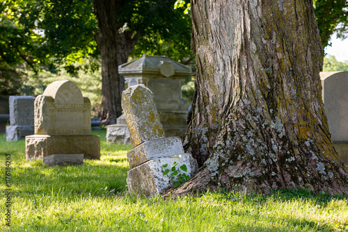 Fényképezés Graveyard headstone damaged by tree