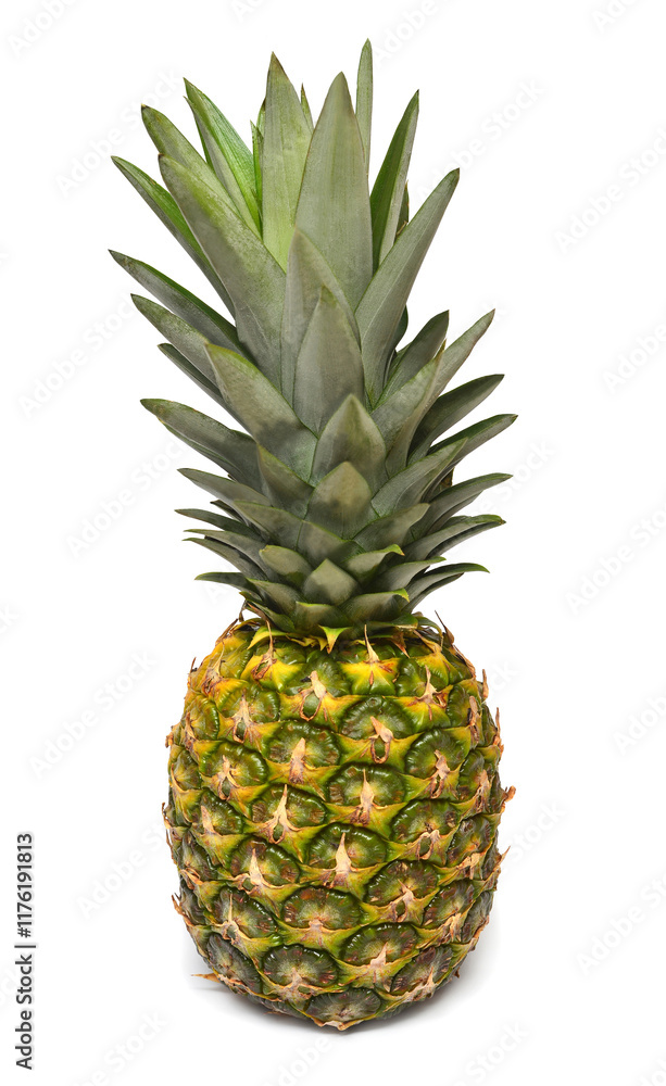 Pineapple whole isolated on white background Pineapple whole isolated on white background
