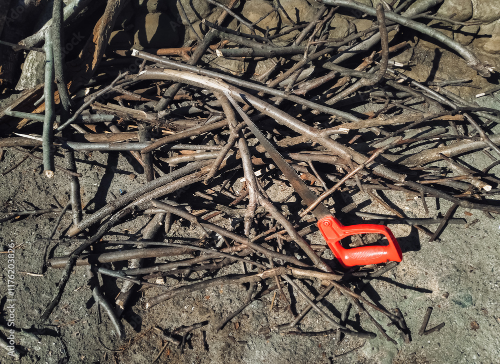 A pile of thin hazel firewood, cut and sawn from trees for kindling. A small saw lies nearby, symbolic of handicraft. A pile of thin hazel firewood, cut and sawn from trees for kindling. A small saw lies nearby, symbolic of handicraft.